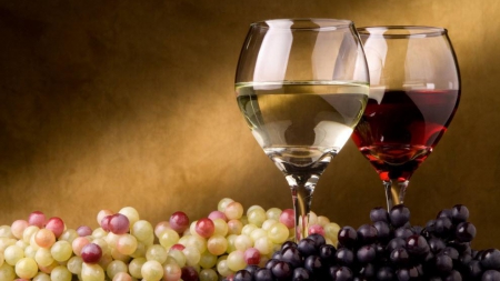 Предложено установить дифференцированную стоимость лицензии на оптовую торговлю вином