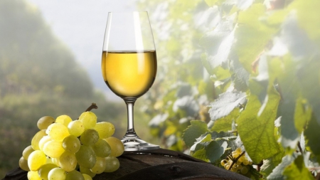 Характер потребления вин и сезонные предпочтения украинцев – исследование