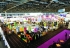 Львівська Компанія T.B. Fruit бере участь у SIAL Paris