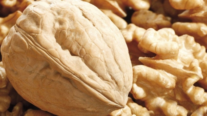 Типовой бизнес-план организации производственного комплекса по выращиванию и переработке грецкого ореха
