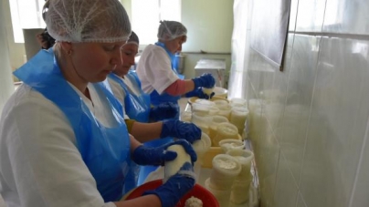 На Львівщині запрацювало нове виробництво якісних сирів