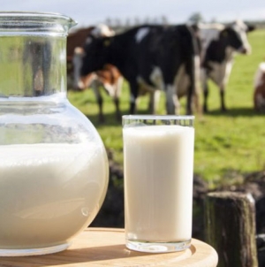Сучасна молочна лабораторія дозволить 4,000 господарствам покращити якість молока, контролювати здоров’я корів та організувати селекційну роботу