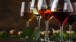WineHub — первый в Украине форум, для тех, кто занимается, живет и интересуется виноделием