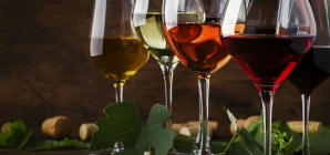 WineHub — первый в Украине форум, для тех, кто занимается, живет и интересуется виноделием