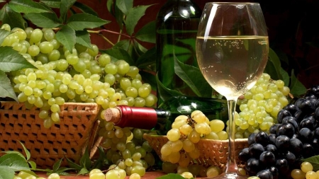 Українські виноградарі і винороби закликають про допомогу!