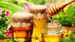 Медовий Спас на порозі: скільки коштує цьогоріч мед у супермаркетах