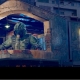NON STOP та S.T.A.L.K.E.R.2: на екранах ТРЦ Gulliver з’явився ролик на підтримку довгоочікуваної  гри