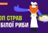ТОП страв з білої риби