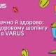 Почну з понеділка: складаємо кошик продуктів для правильного харчування