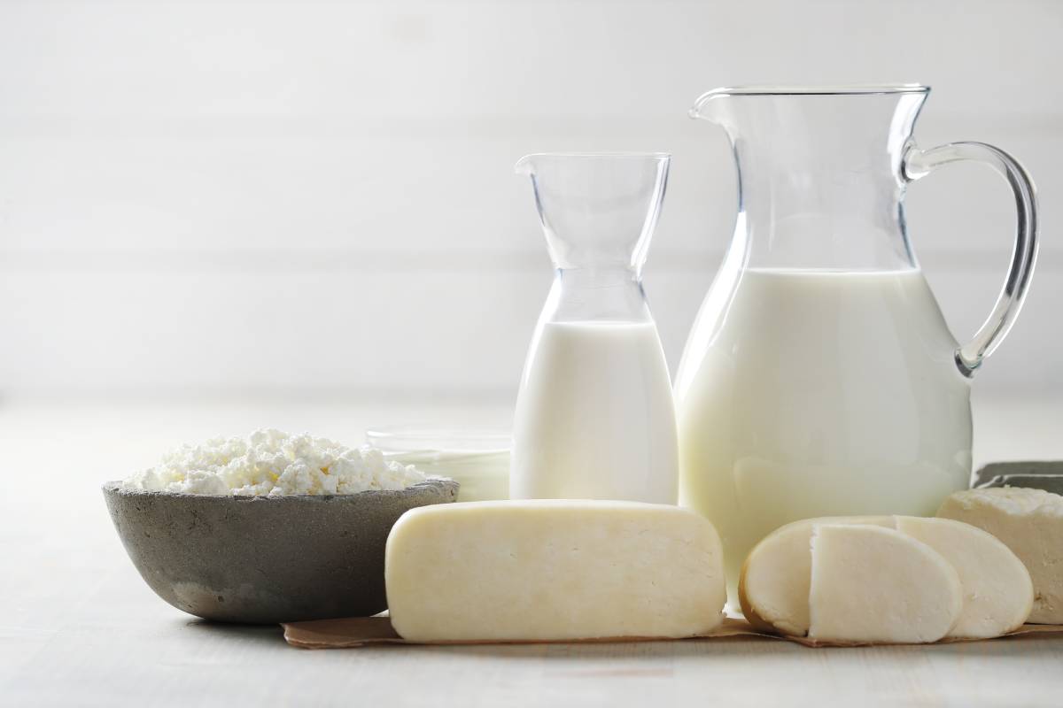Белорусы назвали свои любимые продукты питания
